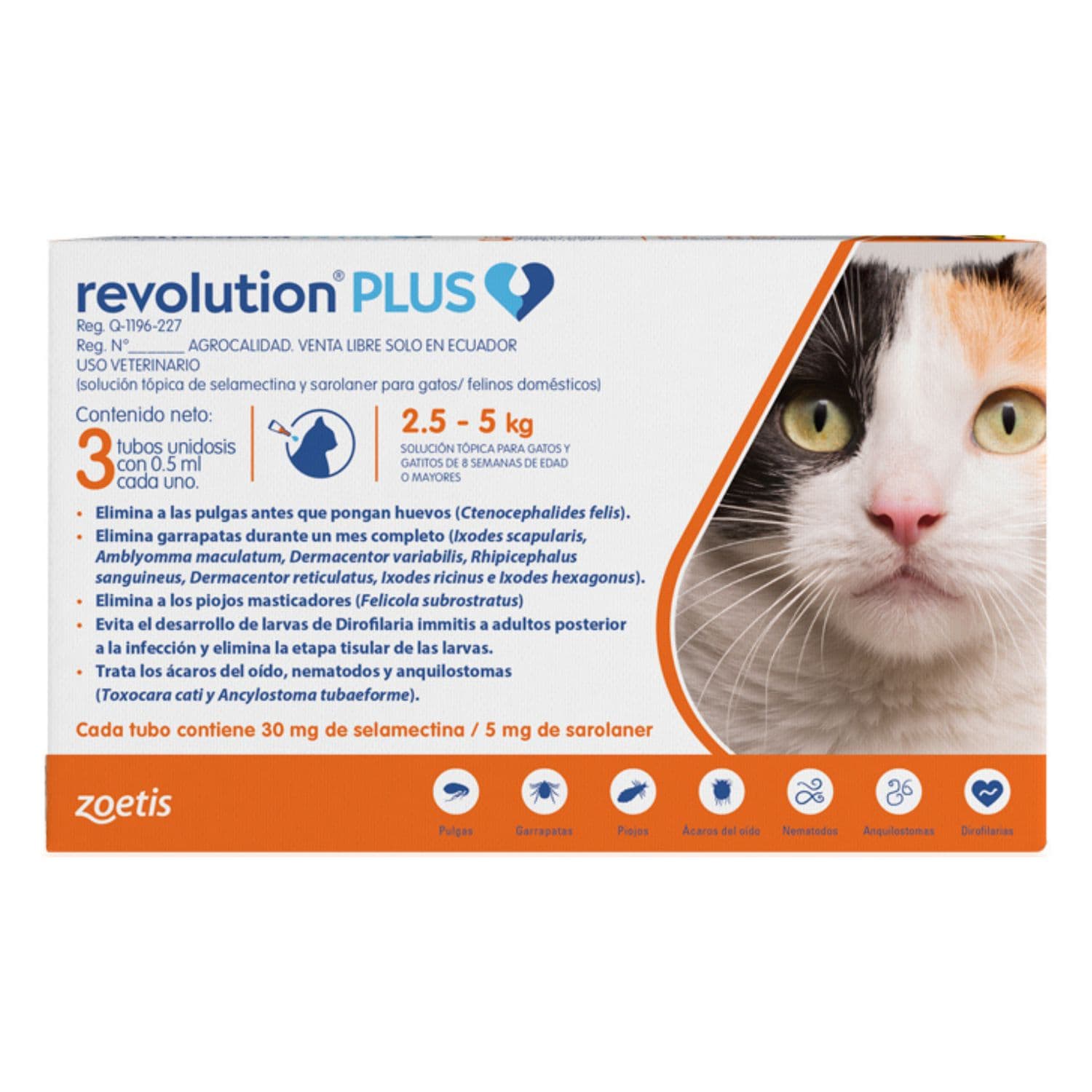 Revolution Plus
