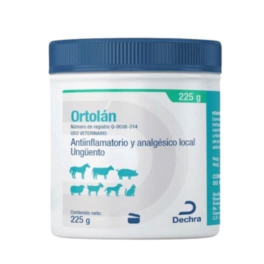 Ortolan