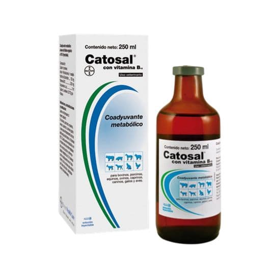 Catosal B 12