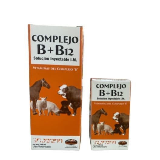Complejo B + B 12
