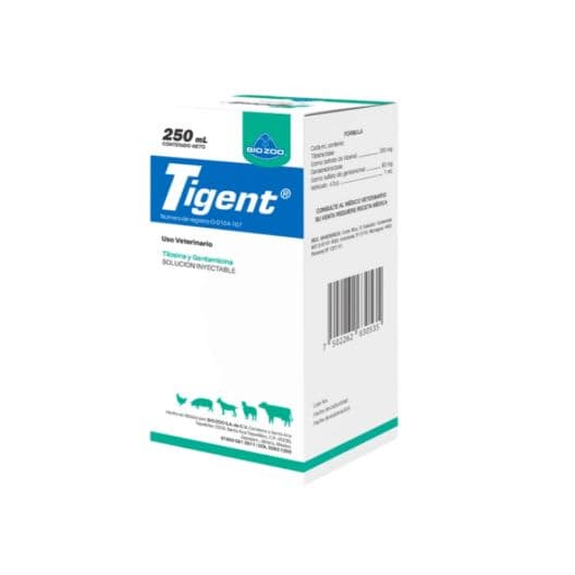Tigent