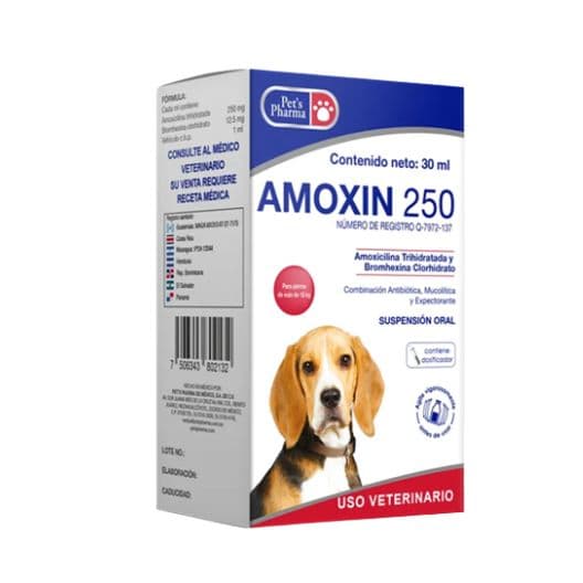 Amoxin 250