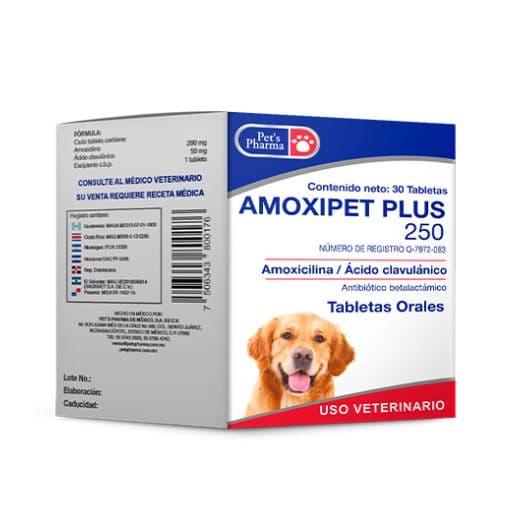 Amoxipet Plus 250