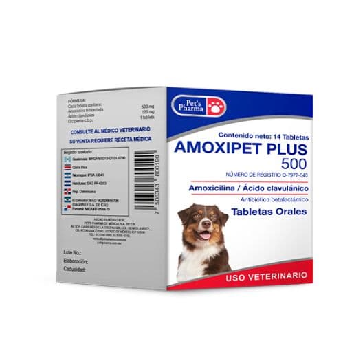 Amoxipet Plus 500
