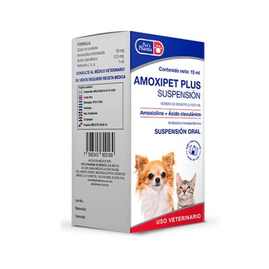 Amoxipet plus