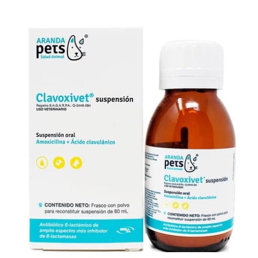 Clavoxivet