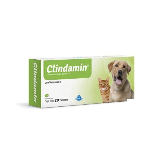 Clindamin