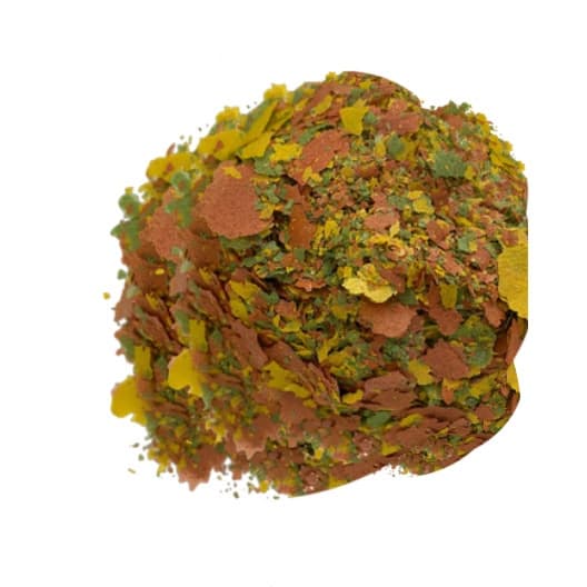 Alimento Kijaro