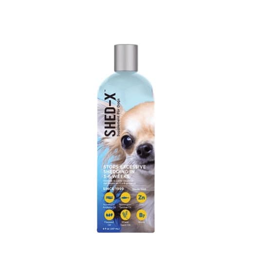 Shed X perro pequeño